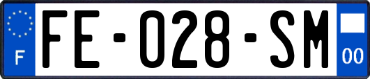 FE-028-SM