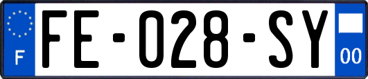 FE-028-SY