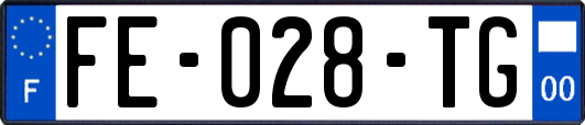 FE-028-TG