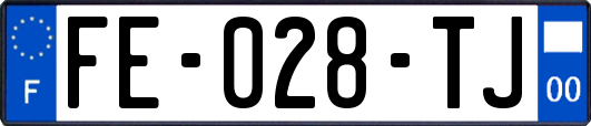 FE-028-TJ