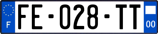 FE-028-TT