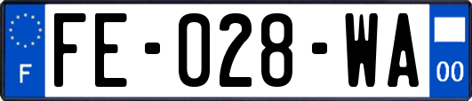 FE-028-WA