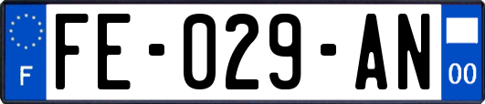 FE-029-AN