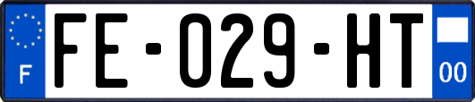 FE-029-HT