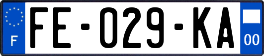 FE-029-KA
