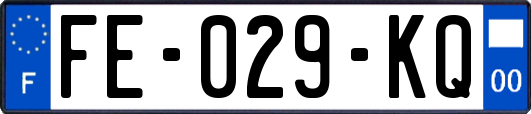 FE-029-KQ
