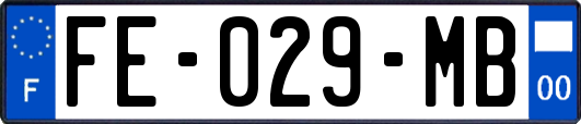 FE-029-MB