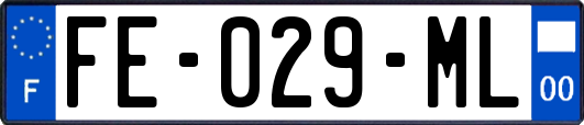 FE-029-ML