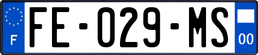 FE-029-MS