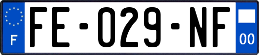 FE-029-NF