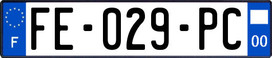 FE-029-PC