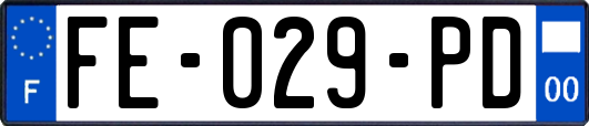 FE-029-PD