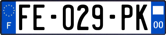 FE-029-PK