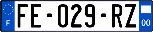 FE-029-RZ