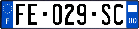 FE-029-SC