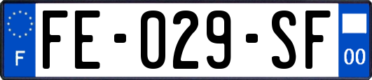 FE-029-SF