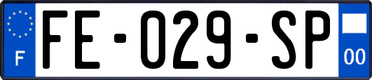 FE-029-SP
