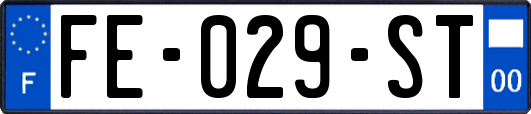FE-029-ST