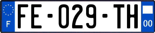 FE-029-TH