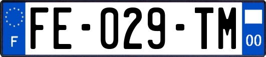 FE-029-TM
