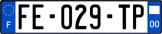 FE-029-TP