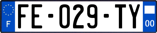 FE-029-TY