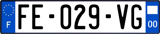FE-029-VG