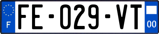 FE-029-VT