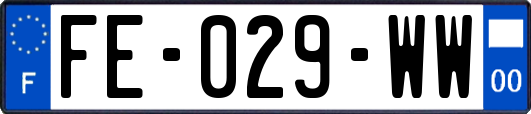 FE-029-WW