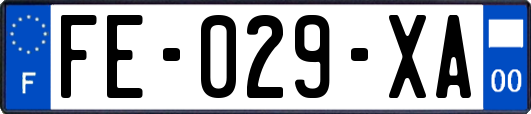 FE-029-XA