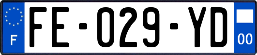 FE-029-YD
