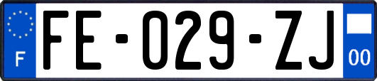 FE-029-ZJ