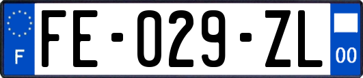 FE-029-ZL