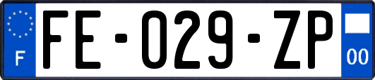 FE-029-ZP