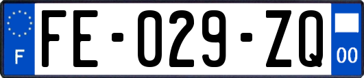 FE-029-ZQ