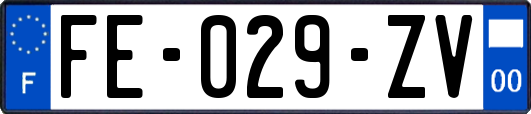 FE-029-ZV