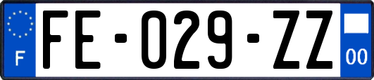 FE-029-ZZ