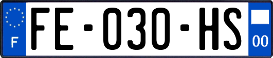 FE-030-HS