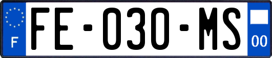 FE-030-MS