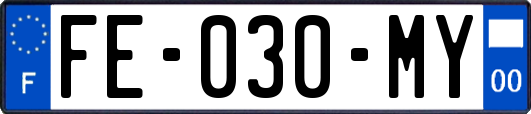 FE-030-MY