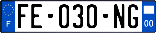 FE-030-NG