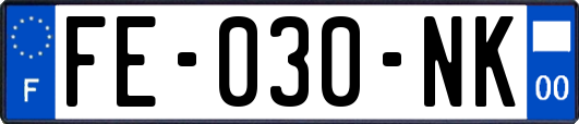 FE-030-NK