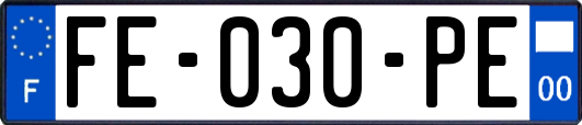 FE-030-PE