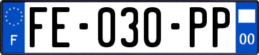 FE-030-PP