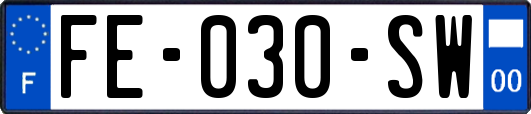 FE-030-SW