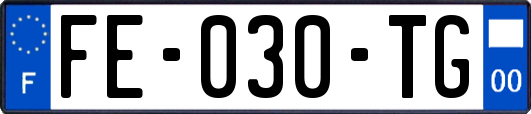 FE-030-TG
