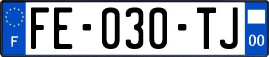 FE-030-TJ