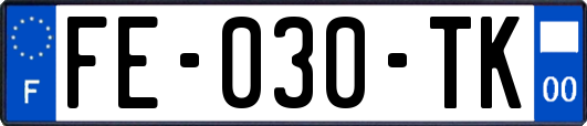 FE-030-TK