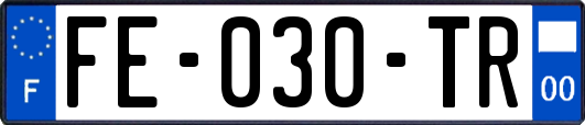 FE-030-TR
