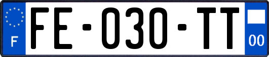 FE-030-TT